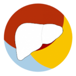 logo del sito Tumori del Fegato