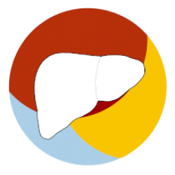 logo del sito Tumori del Fegato