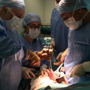 prof. Luca Aldrighetti opera un tumore maligno del fegato